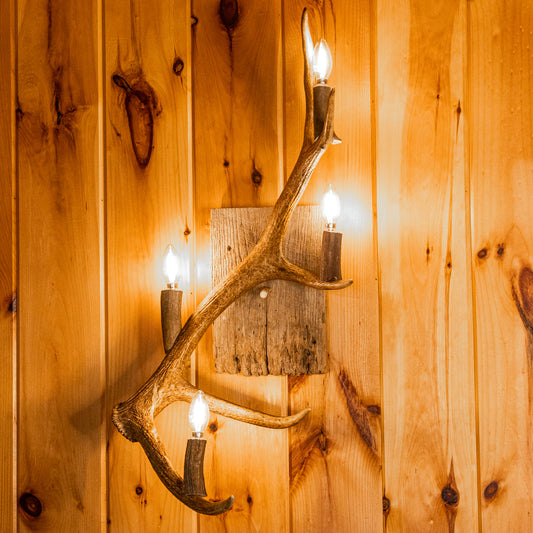 Elk Antler 4 Light Sconce