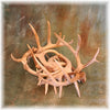 Whitetail Antler Log Holder