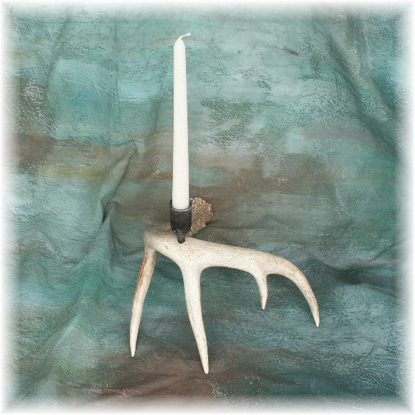 Whitetail Deer Antler Hand Forged Candelabra