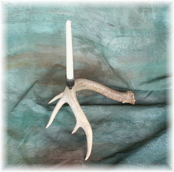 Whitetail Deer Antler Hand Forged Candelabra