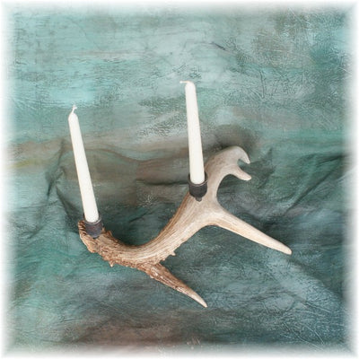 2 Cup Whitetail Antler Hand Forged Candelabra