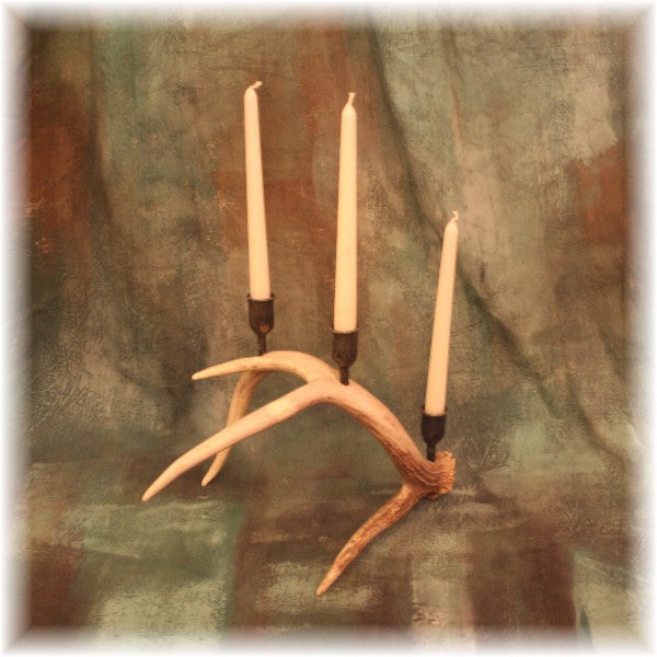 3 Cup Whitetail Antler Hand Forged Candelabra