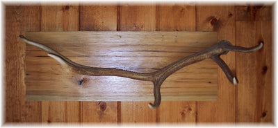 Elk Antler Coat-Hat Rack