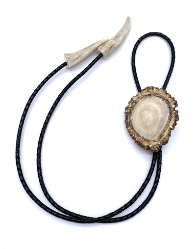 Large Polished Burr Bolo w/ antler tips