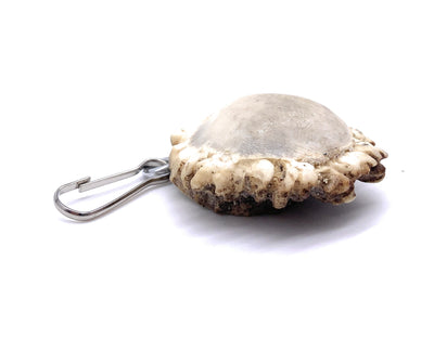 Polished Antler Burr Zipper Pull