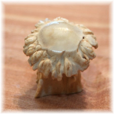 Medium Deer Polished Burr Pull