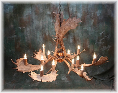 9 Antler, 12 Light Fallow Deer Antler Chandelier