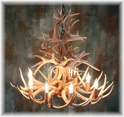 22 Antler, 8 Light Cascading Whitetail Antler Chandelier