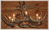 12 Antler, 8 Light Whitetail Antler Chandelier