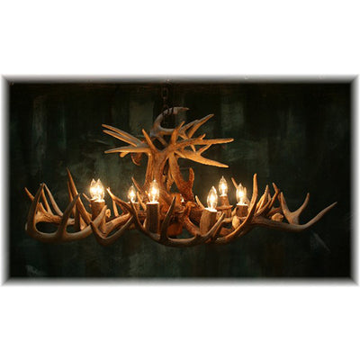 16 Antler, 8 Light Oblong Whitetail Chandelier