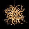 White - Whitetail/Mule Deer Antler Tumbleweed Chandelier on Sale in stock