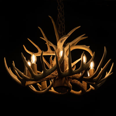 12 Antler, 8 Light Whitetail Antler Chandelier