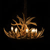 12 Antler, 8 Light Whitetail Antler Chandelier