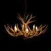 9 Antler, 6 Light Mule Deer Antler Chandelier