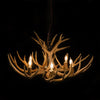 9 Antler, 6 Light Mule Deer Antler Chandelier