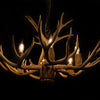 9 Antler, 6 Light Mule Deer Antler Chandelier